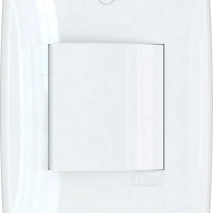 Interruptor bipolar simples tecla dupla 10A 150762